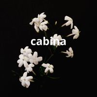 luis M - cabina