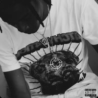 TZ - Ready or Not