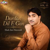 Shah Jan Dawoodi - Dardan Dil E Gan, Vol. 25