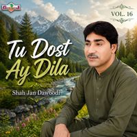Shah Jan Dawoodi - Tu Dost Ay Dila, Vol. 16