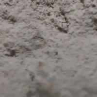 Oagora - A Prologue to