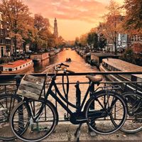 LUME - AMSTERDAM