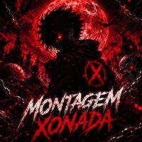 Nico - Montagem xonada