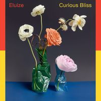 Eluize - Curious Bliss
