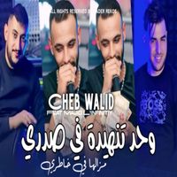 cheb walid - Wahd Tanhida Fi Sadri