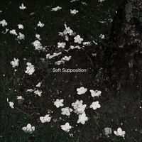 Yt - Soft Supposition