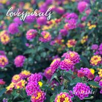 Love Spirals Downwards - Desirable
