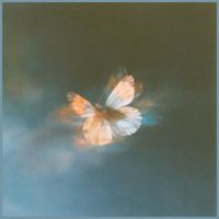 Maxime Verdoni - Forever