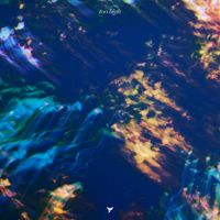 Marsh - Too High