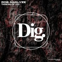 Rob Analyze - Thinking Of You
