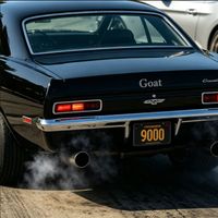 Goat - 9000