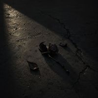 DejaVu - Wasn't Enough