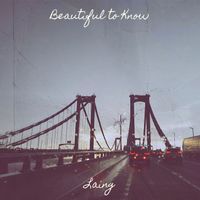 Laing - Beautiful to Know