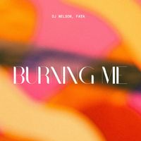 DJ Nelson - Burning Me