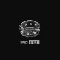 Notion - Snares & Soul