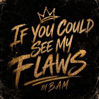 BAM - If You Could See My Flaws