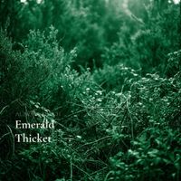 Aurora Beach - Emerald Thicket