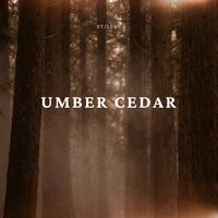 St/llar - Umber Cedar