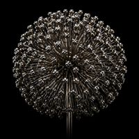 Robert Babicz - Magic Eye EP