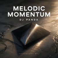 DJ Panda - Melodic Momentum