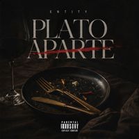 ENTITY - PLATO APARTE