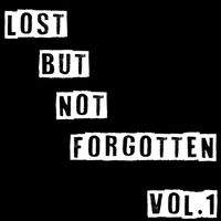 Brett Johnson - Lost But Not Forgotten 1