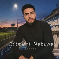 zhamid - Ritmuri Nebune