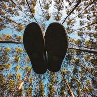 Macrogenre - Future Perspectives