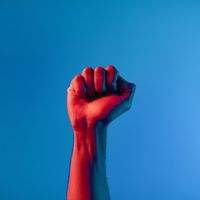 Macrogenre - Territorial Resilience