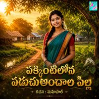 Vadlakonda Anil Kumar - Pakkintilona Paduchuandala Pilla