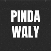 Aryan - Pinda Waly