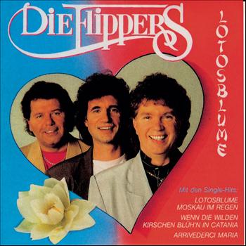 Lotosblume