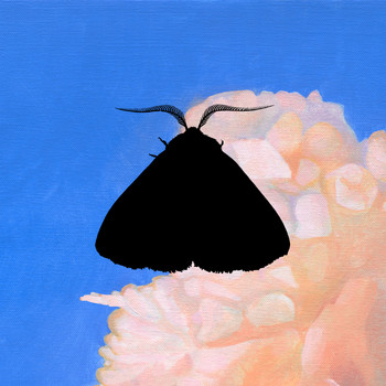 Moth to the Flame