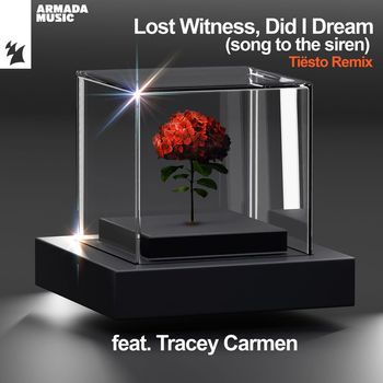 Did I Dream (Song To The Siren)