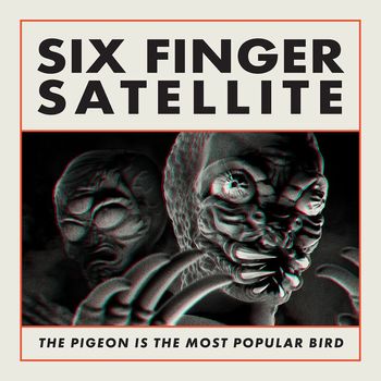 The Pigeon Is The Most Popular Bird