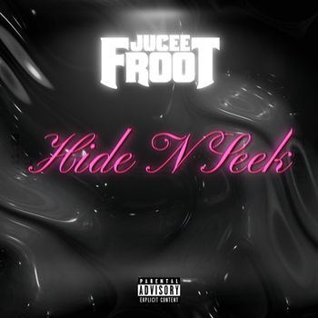 Hide N Seek