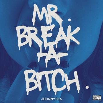 Mr Break A Bitch