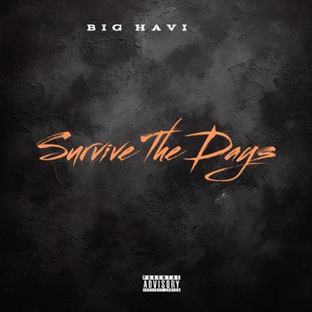 Survive The Days