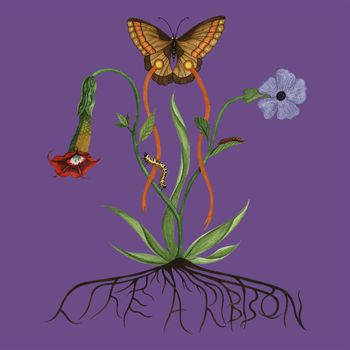 Like A Ribbon