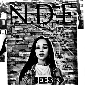 N.D.E
