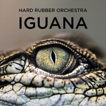 Iguana