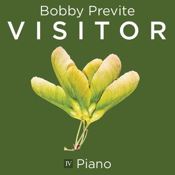 Visitor IV: Piano