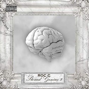 Stoned Genius 2