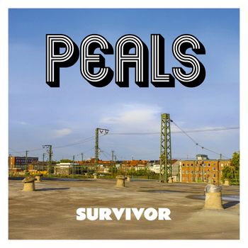 Survivor
