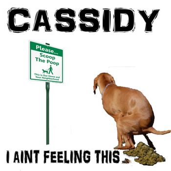 I Aint Feelin This Shit