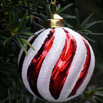 All l want for Chistmas is you