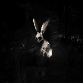 FOLLOW THE WHITE RABBIT