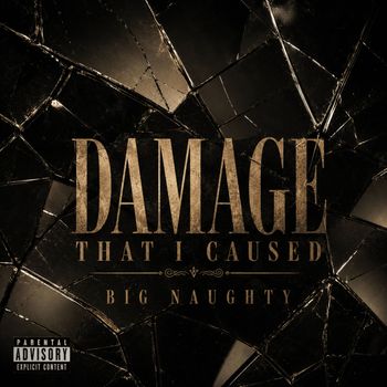 Damage That I Caused