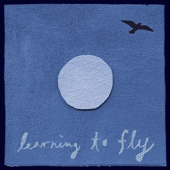 Learning to Fly