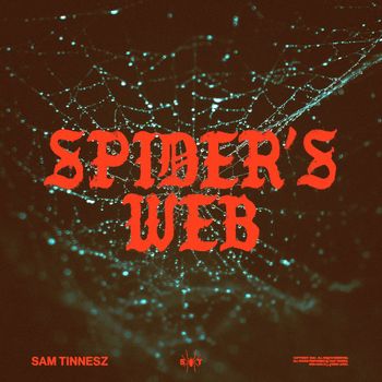 Spider's Web